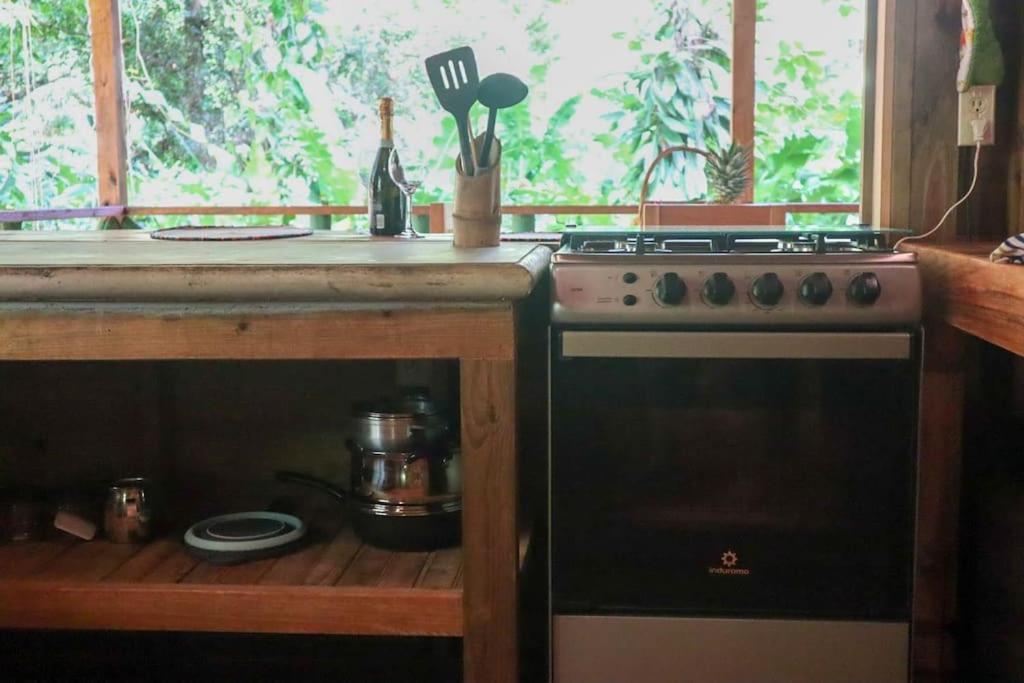 Jungle Beach 2 Bedroom Cottage Бокас-дель-Торо Экстерьер фото