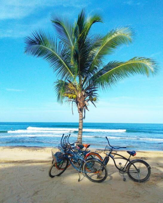 Jungle Beach 2 Bedroom Cottage Бокас-дель-Торо Экстерьер фото