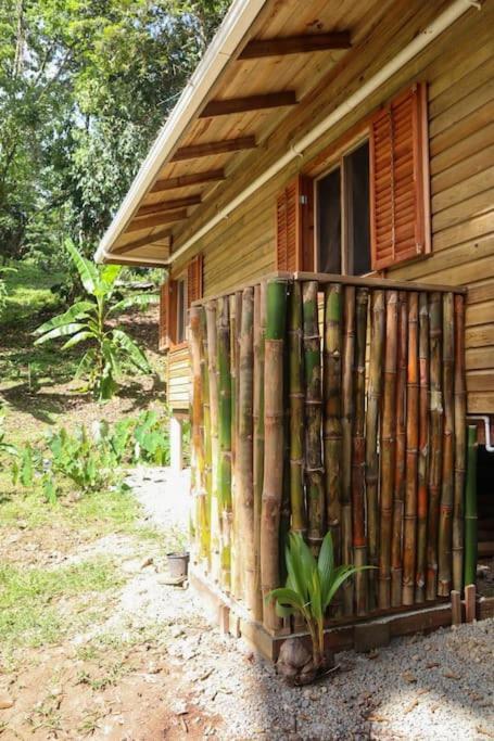 Jungle Beach 2 Bedroom Cottage Бокас-дель-Торо Экстерьер фото