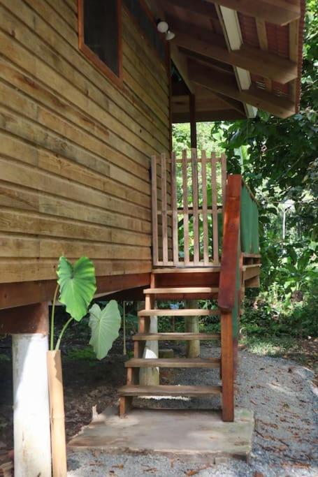 Jungle Beach 2 Bedroom Cottage Бокас-дель-Торо Экстерьер фото