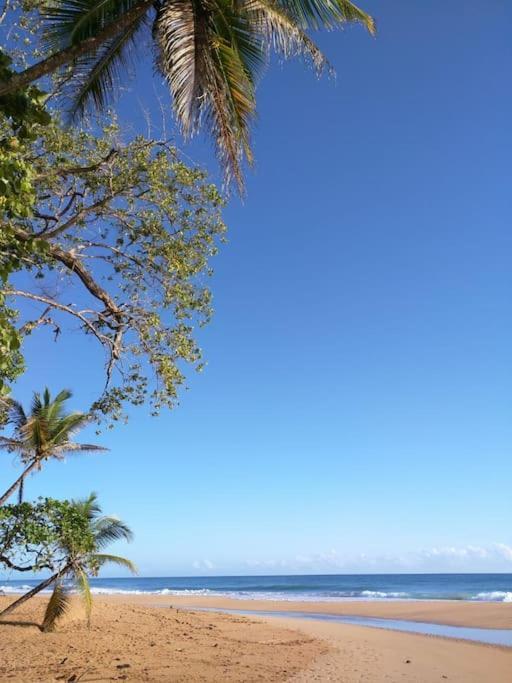 Jungle Beach 2 Bedroom Cottage Бокас-дель-Торо Экстерьер фото